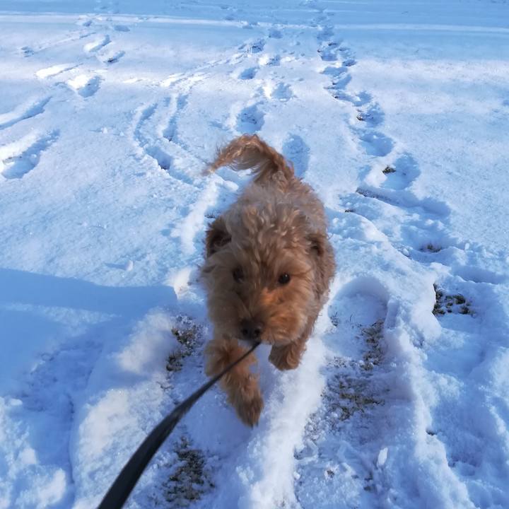 C4f741d2 ef41 4cc6 8514 afdfb9d21f82 1543712702140