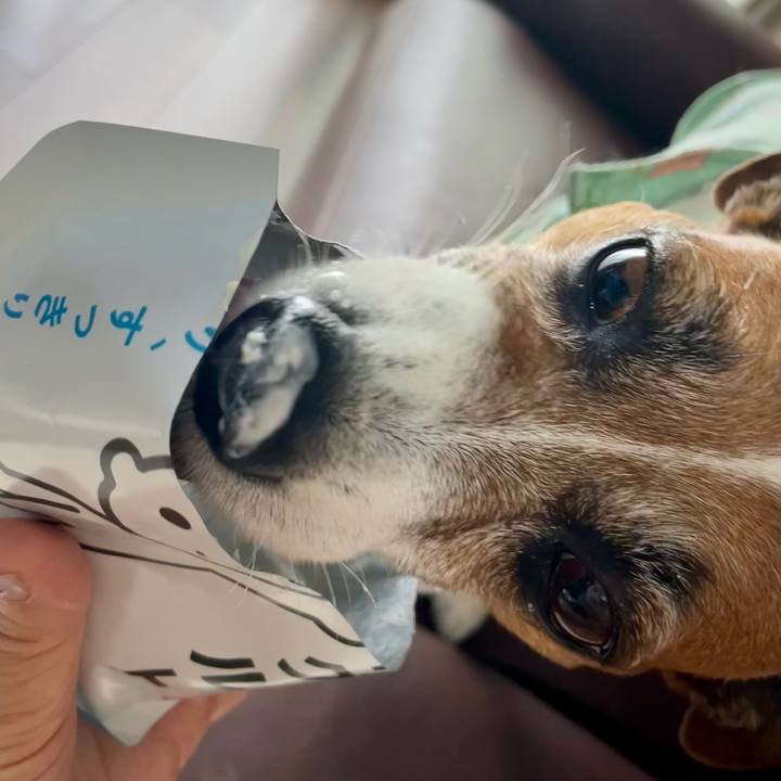 C4f74e0e 1177 45f5 bf3b 40a6edfe4246 1749692585525