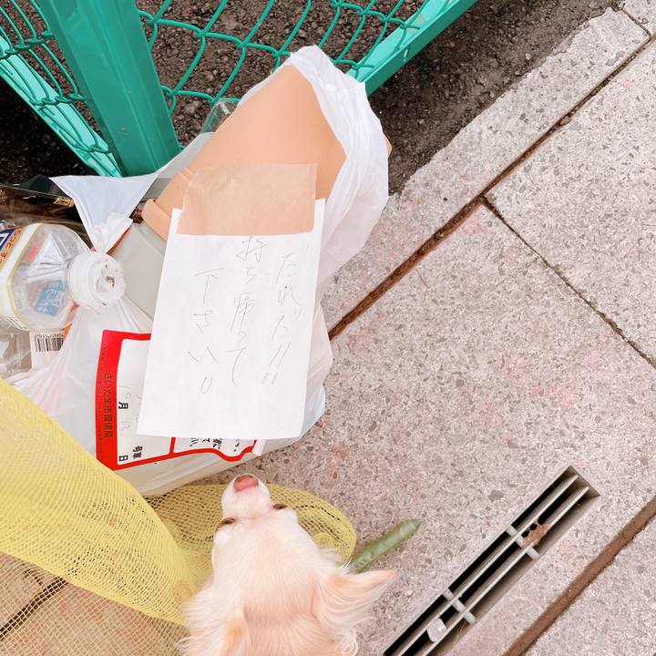 C4f75ea5 9030 4b71 a46e fb6d4a7455cb 1665563219227