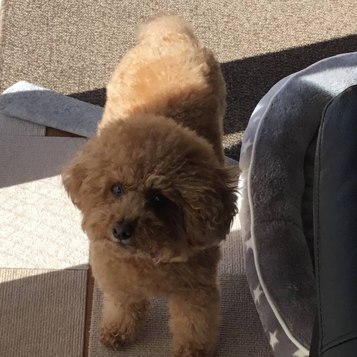 C4f7ed48 09a6 42cc a66c 50df6472e6ff 1580275123160