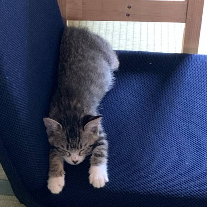 C4f804f9 b345 40af b7b3 d59fad787ff6 1687056600096