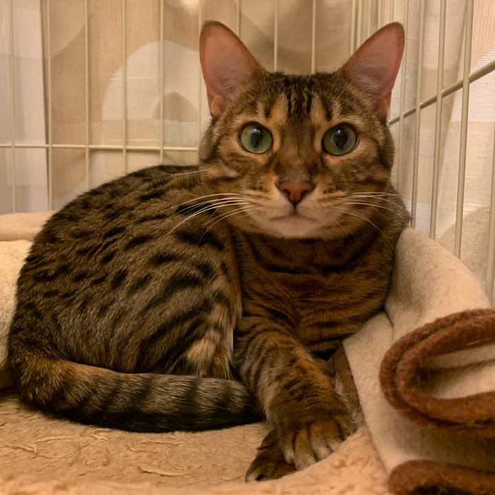 C4f87a03 4a1b 4ceb 8e63 fa5a4f9a098c 1549158456624