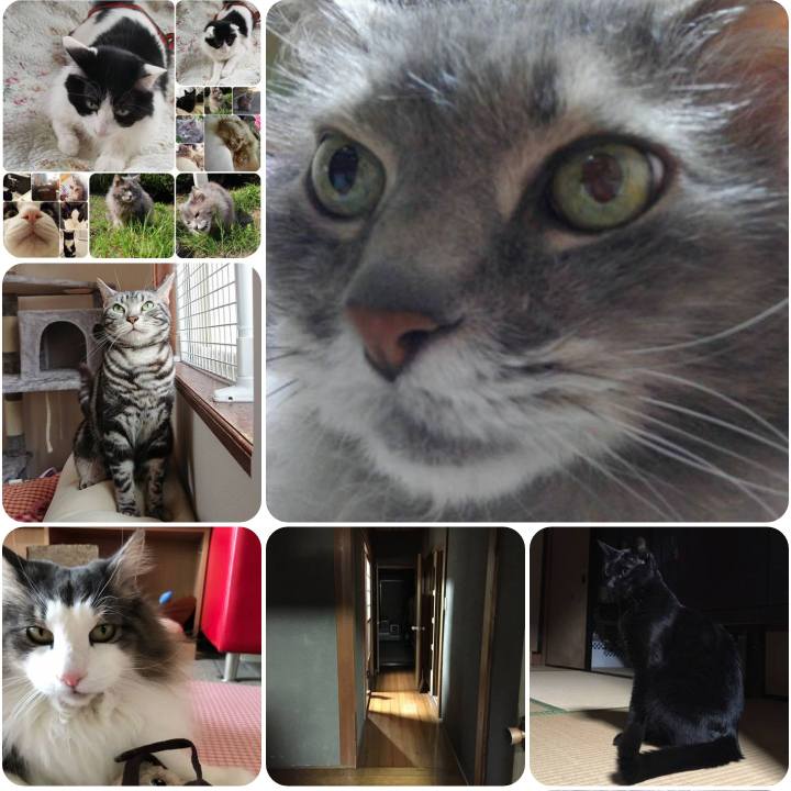 C4f889ec 0010 4fee 99c0 a0f0deb785ba 1555970208737