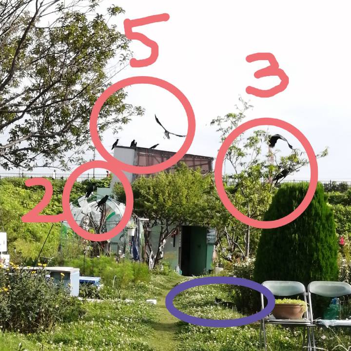 C4f91ef1 f74e 4e60 89a9 16a60d749243 1592815688731