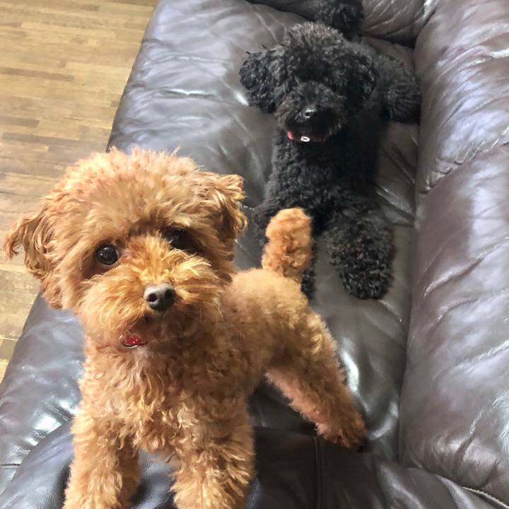 C4f9336a e457 442a 8ea5 7d9c336ac1cd 1570402932244