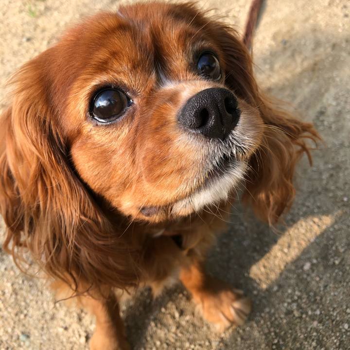 C4f9b5a4 1f90 497a b4e5 71ea0d626470 1632436139804