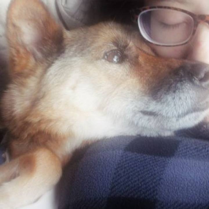 C4f9da5c 0499 48c7 8c0b 4d2b73505d9d 1597067414826