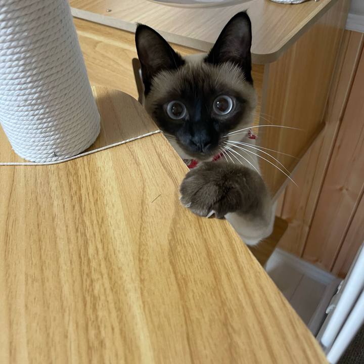 C4fa41e7 699b 479c af13 ebe7b22200e7 1707681233551