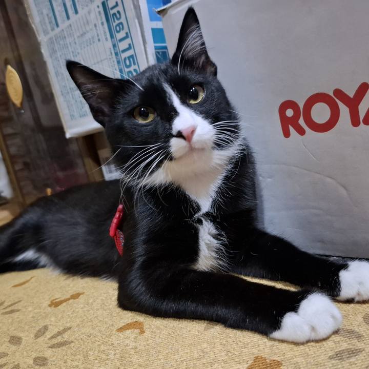 C4fa4c15 a695 40f1 bade 8056c8783b41 1759203097517