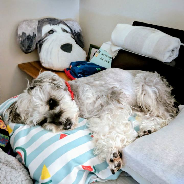 C4fa6e4a 6952 4ae7 9eaf 56ecf6e5ec22 1758976170961