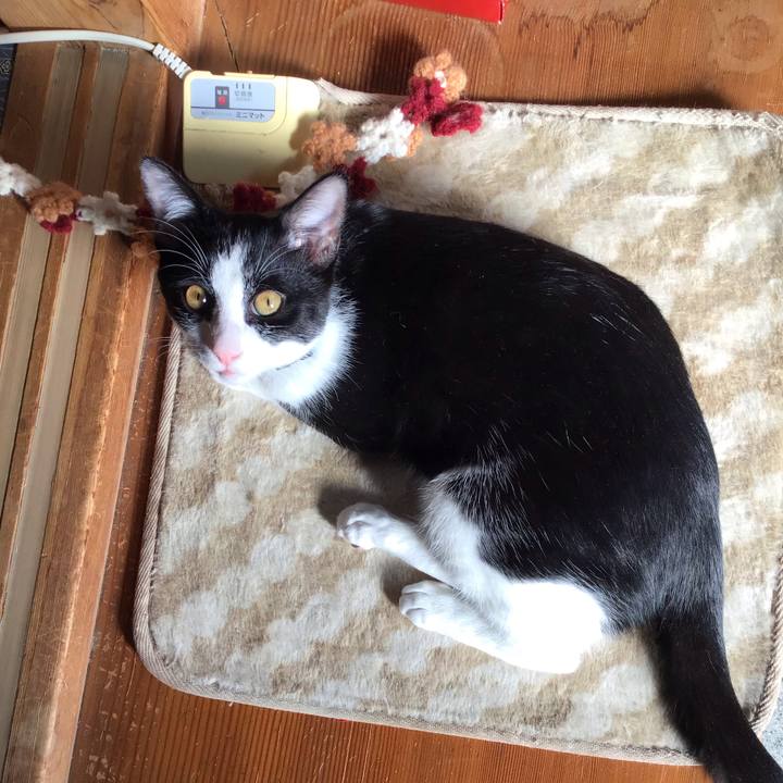 C4fa9330 274a 4428 815f ce8e1809c0ae 1634725133674