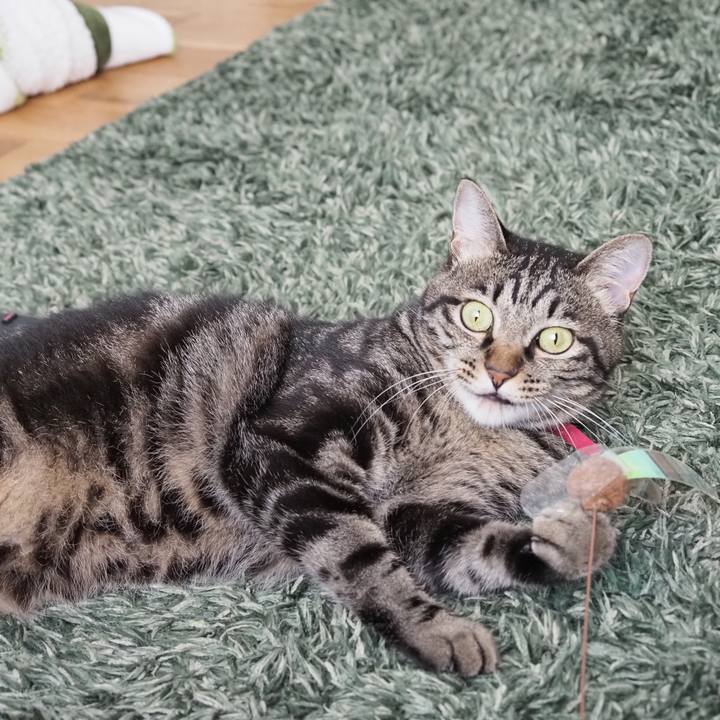 C4faa5de 2532 49d6 8c1b 756085a83c2f 1597634785652