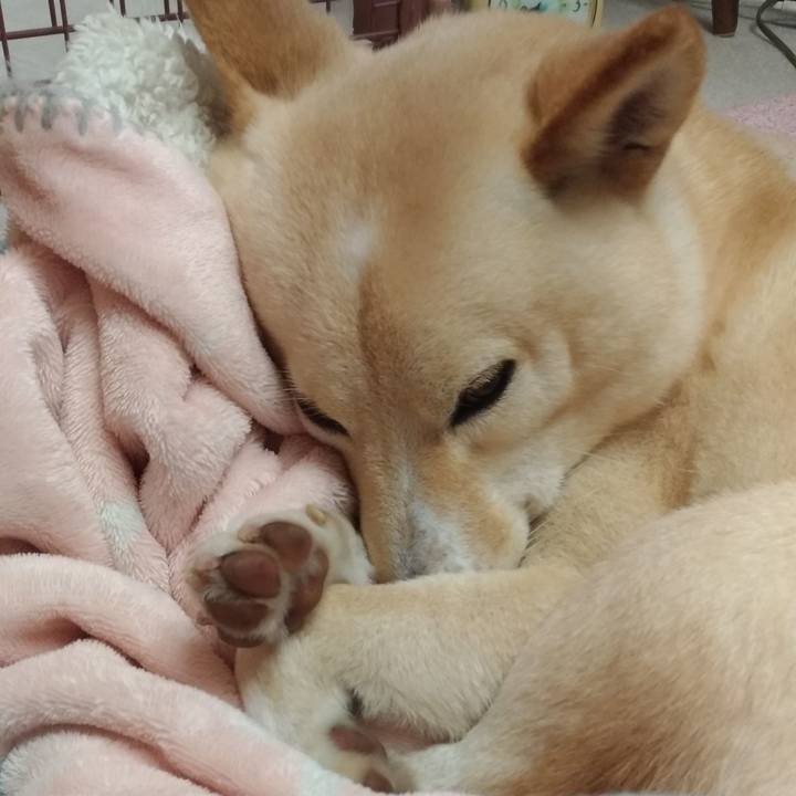 C4faf25b 1f9f 402f bd63 16c01ff4f1ce 1576624408532