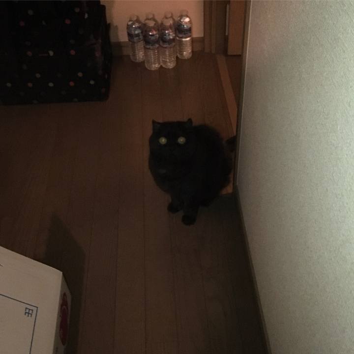 C4fb3691 dbea 4d73 9284 ab8394b3b5d9 1512129981003