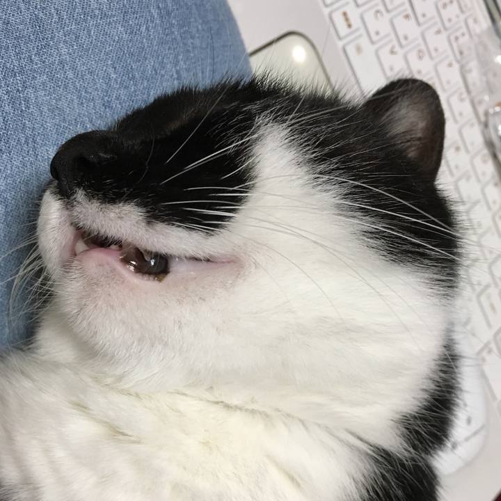 C4fb39d2 cdce 4d36 a34f 0d27ae913e31 1557409014960