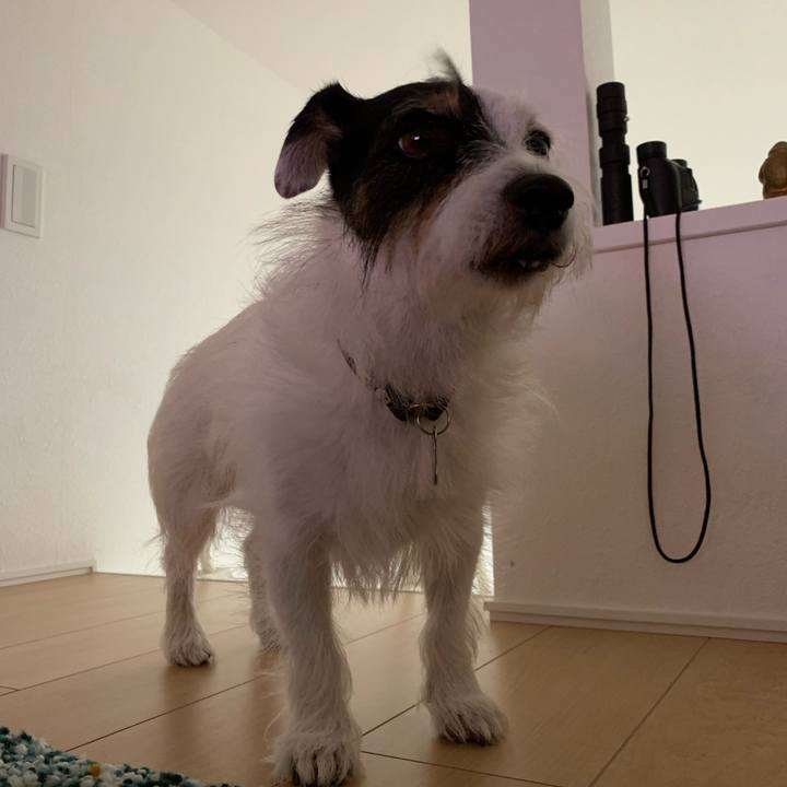 C4fb5ce4 bf35 45bd 9673 b2fd5662214b 1726731188960