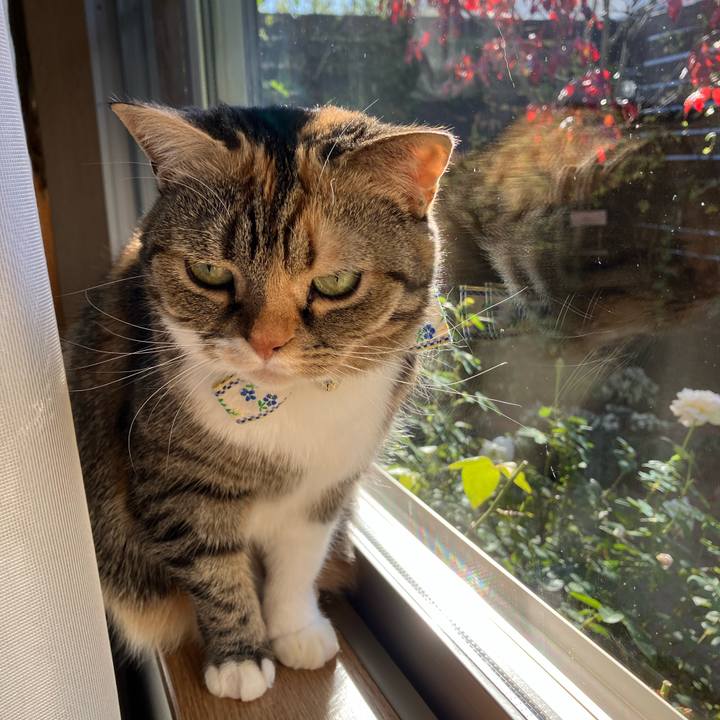 C4fb5eab c3b9 4d7c b7e5 d649255ea082 1764468254032