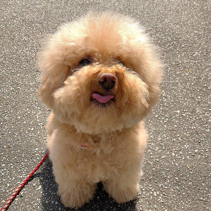 C4fb6dd0 4038 4a9e 9985 c73bef1dec47 1527385861722