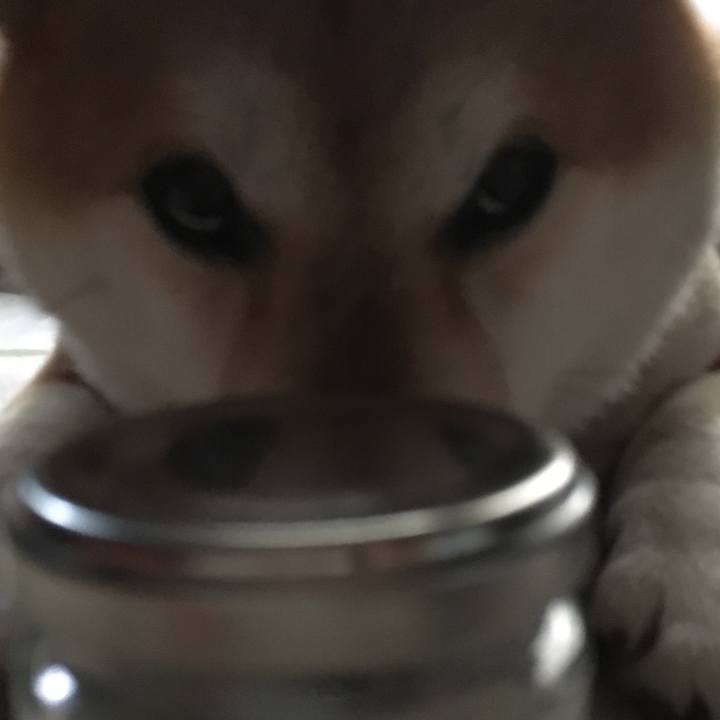 C4fb7cf7 29e4 4fbb abdf b67db2d5f193 1574921971967