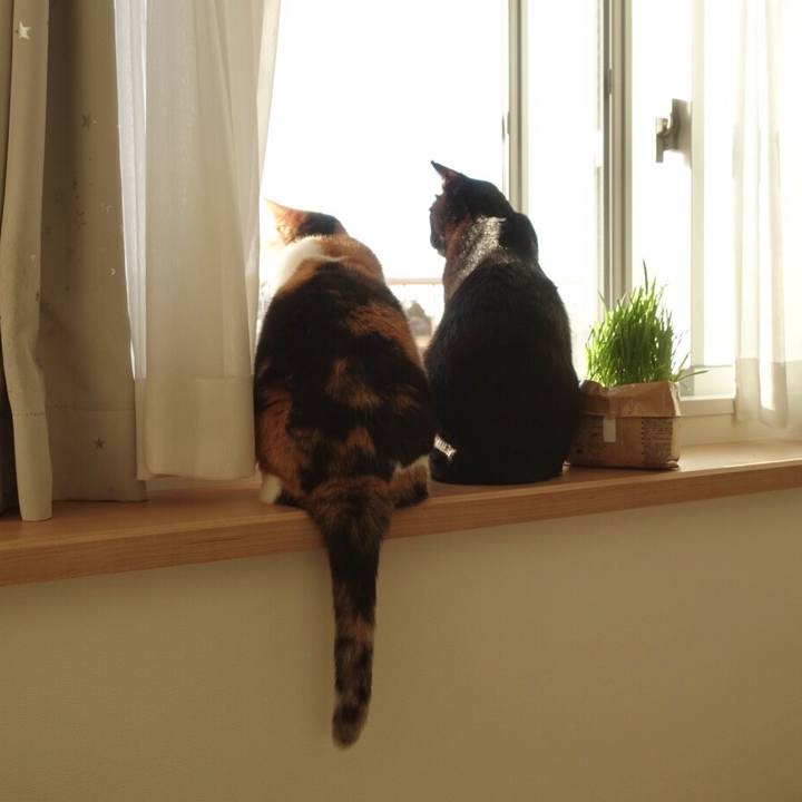 C4fb8d59 7290 4ffa 8a69 05dbdb2866cf 1578025756290