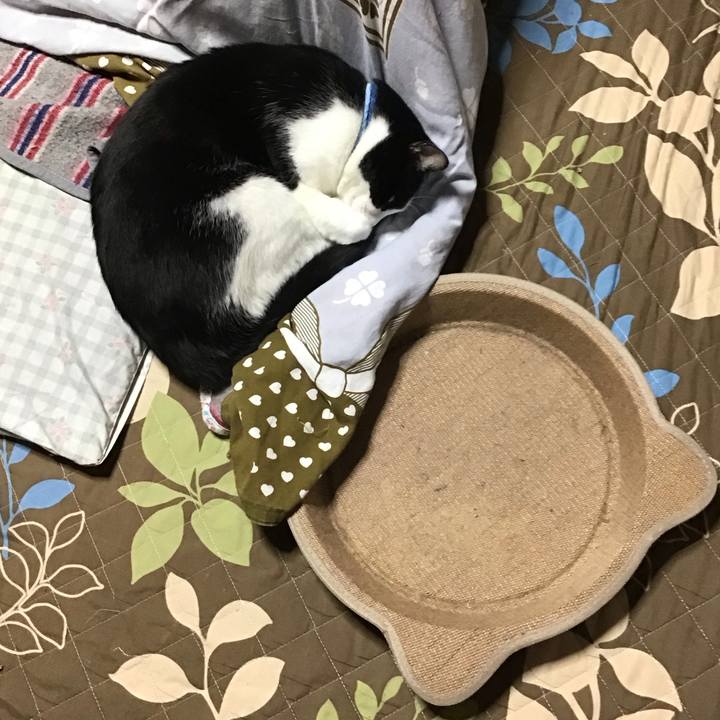 C4fb9cbb 921b 4001 8050 358d2711e75d 1732878060024