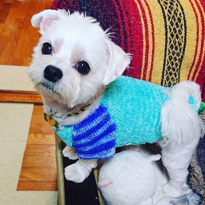 C4fbbc35 d03f 4c9f b9a8 60ddcfce3f06 1572353515597