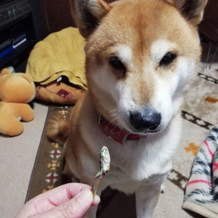 C4fbd086 1c6b 4543 94ee 53c289056a82 1608773029774