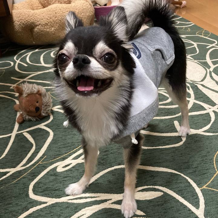 C4fbe199 ca61 4374 a946 2460ef32fbe4 1645884358527