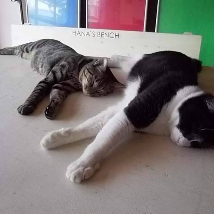 C4fc0695 9f6b 4ee5 a1c7 a61d1bcb6ad2 1509781967505