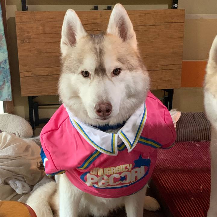 C4fc6f13 7bbd 4415 886a 195f0f5c7646 1651555063129