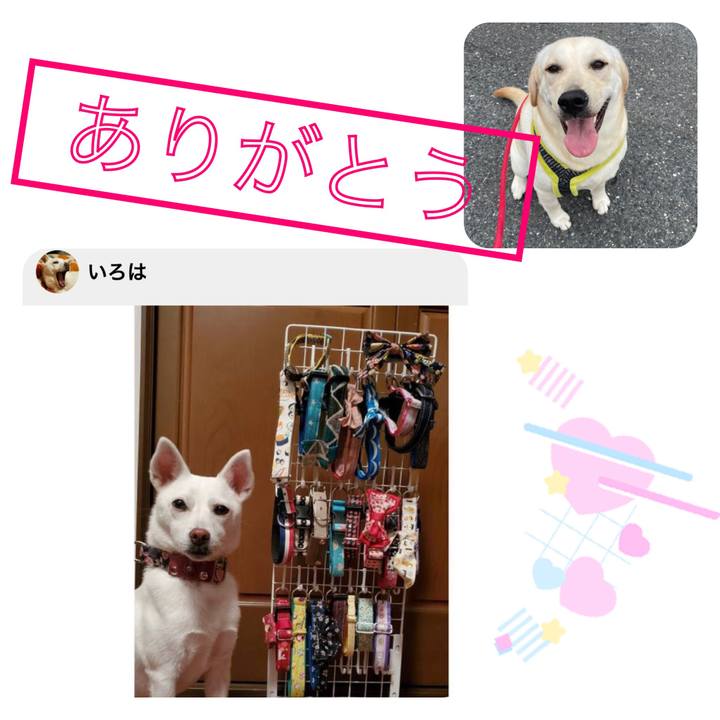 C4fca5a1 eadf 47bd bf50 74290200a469 1632838210261