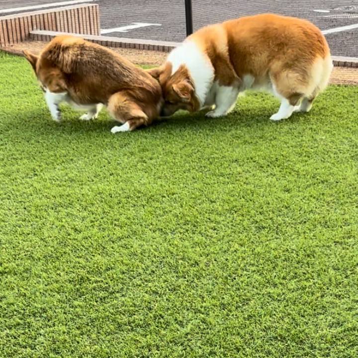 C4fcda2e 1954 4aee aca3 54e5a3a0736d 1750501404504