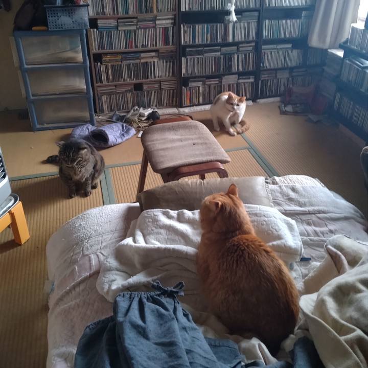 C4fce489 8c30 4b60 af5d 0f78dbd1372c 1742173750235