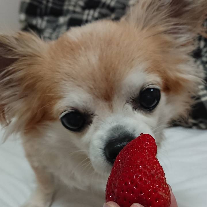 C4fd2b6f 3779 4a1f 9294 1ee448c54eca 1524401187964