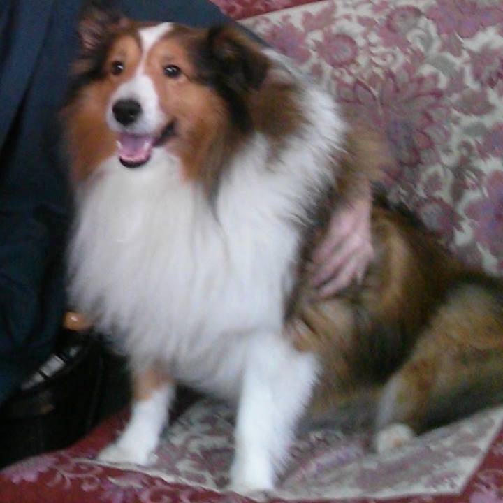 C4fd6dcb 2f3e 408e 9276 cb576fe8a843 1669385071188