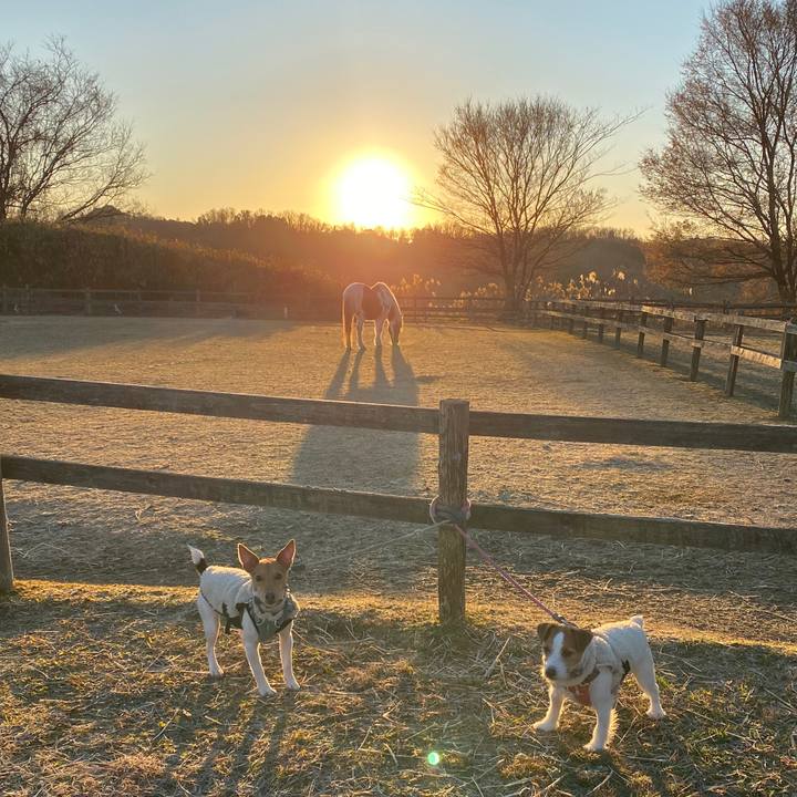 C4fd7a24 749f 4cef 9442 23ea341de800 1767269144377