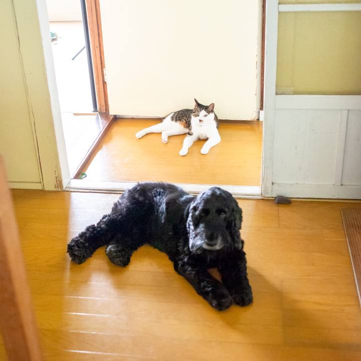 C4fdbbf2 fb31 490c 9e39 d71c34d76f53 1563582523181