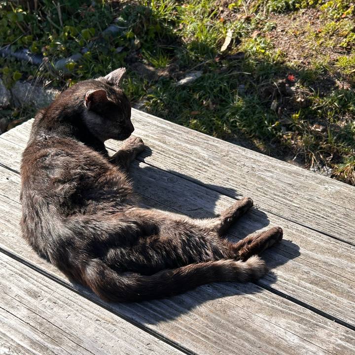 C4fdea7e ff9c 4ec6 a8ca ec8a920b042e 1768366979575