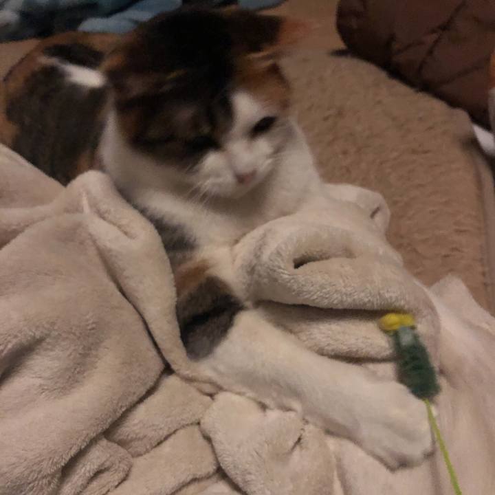 C4fe4819 8707 4767 b06d 4e5a817956a1 1582213274292