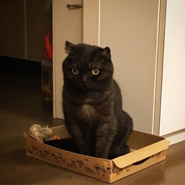 C4fe53ca e7f1 4f6f bc09 15d2a92df3ee 1529256038703