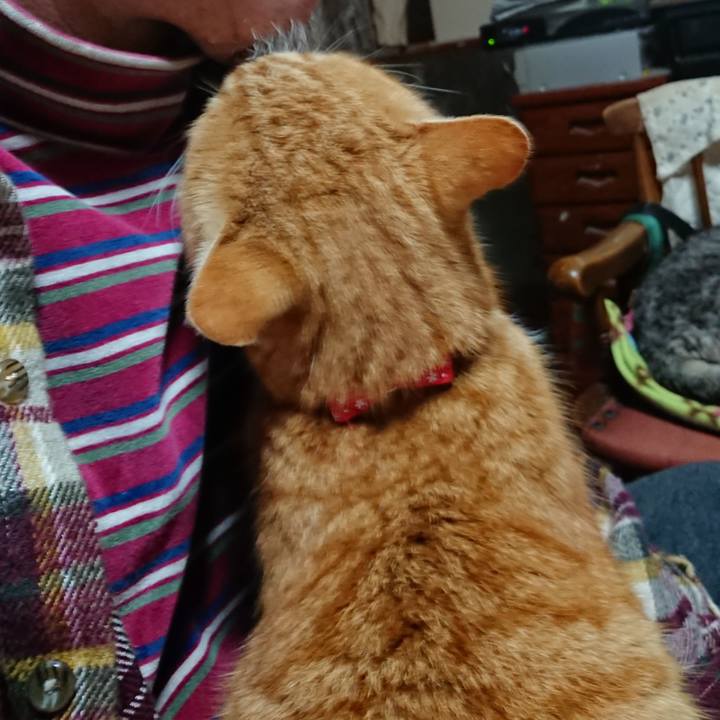 C4fe5fee 8e64 492f aa82 73cca328e905 1578870994899