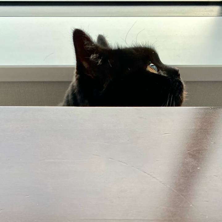 C4fe73b9 34a5 488c af1a 16d8c91a9f91 1711873227967