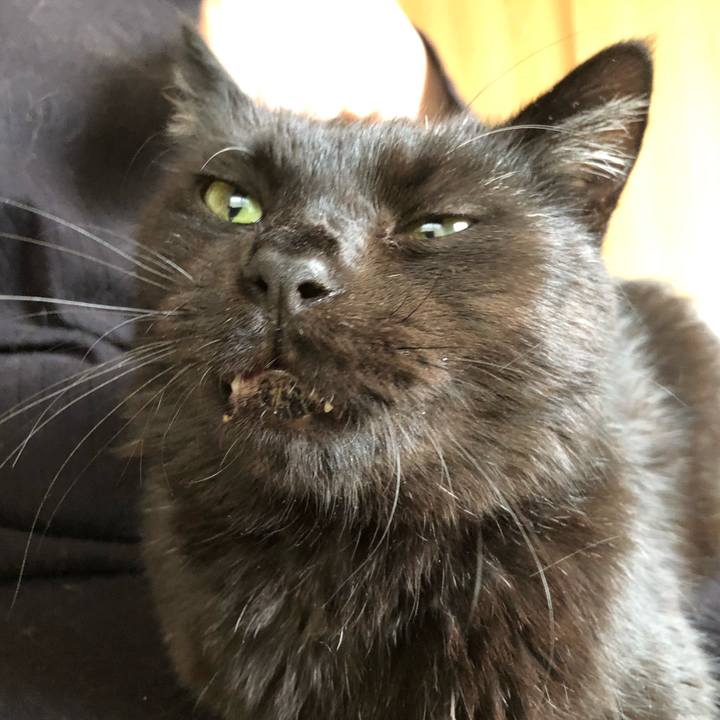 C4fe85c7 0f8f 4be6 9250 bfe8b1cdc5ac 1592620693495