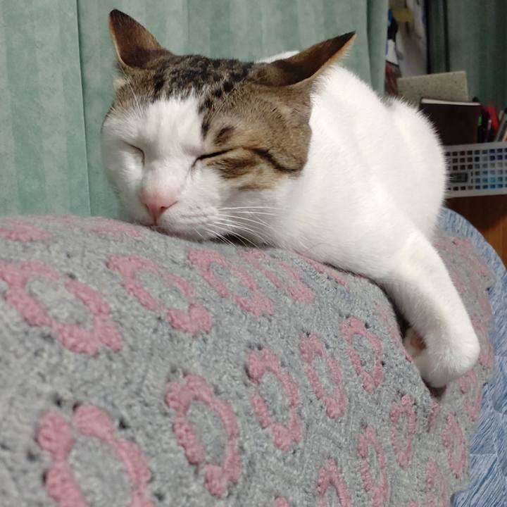 C4fec917 e89d 4043 93b9 fa5f6d682635 1679310874451