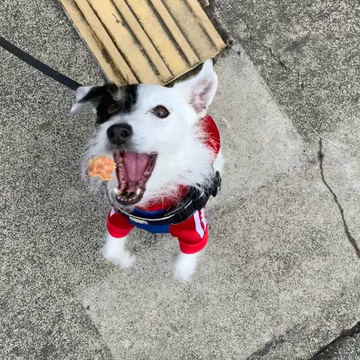 C4fee122 0093 4a29 ba9a 9634858bf09d 1678063613108