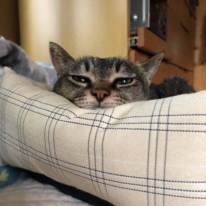 C4fef081 0433 4671 9092 38792cee61c2 1719454842087