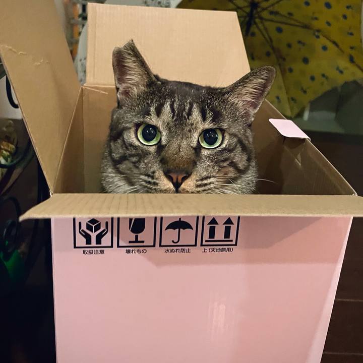 C4ff1c1f 70d8 4b2c ac1b 059bc004bc9e 1635678217871