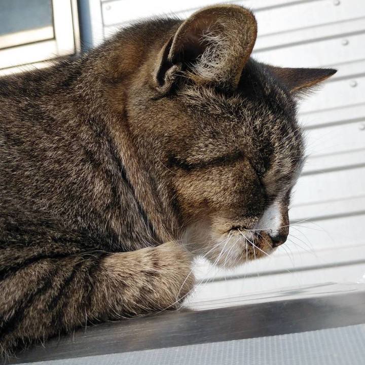 C4ff4393 df9b 45bc 938f dd76719d7bc4 1581638388475