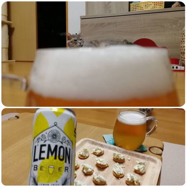 C4ff5021 0616 4650 b051 c3fda521f007 1552137104643