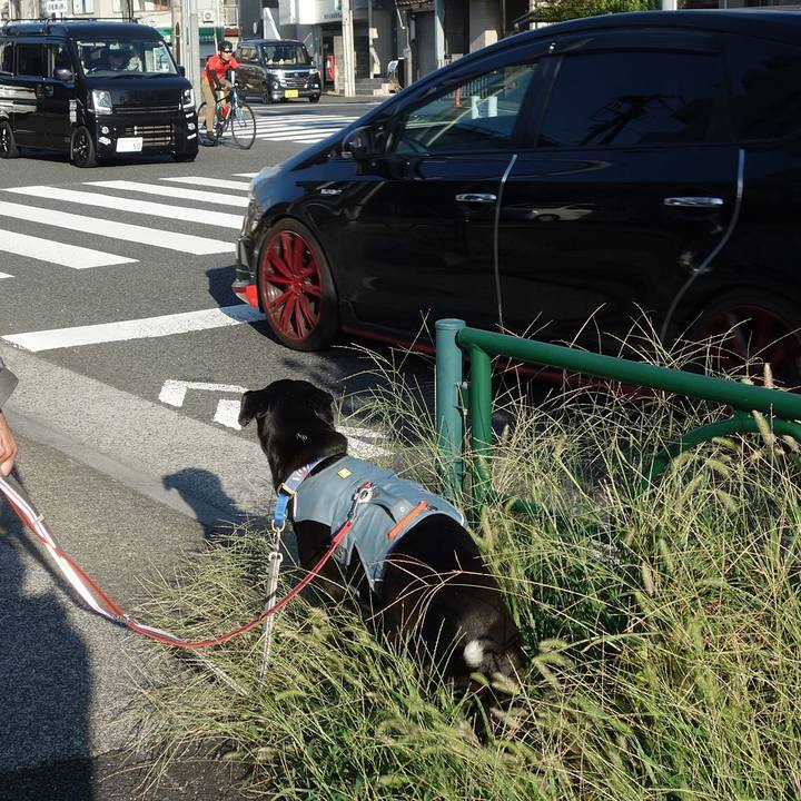 C4ff941e abe5 46a2 b86b d96c52bf1d50 1726011517745